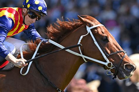 king's stand stakes stats|King's Stand Stakes .